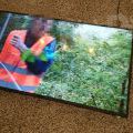 180523_Epos257_06