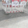 180523_Epos257_28