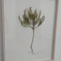 180523_Epos257_31