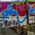 180530_GBoom_David_06