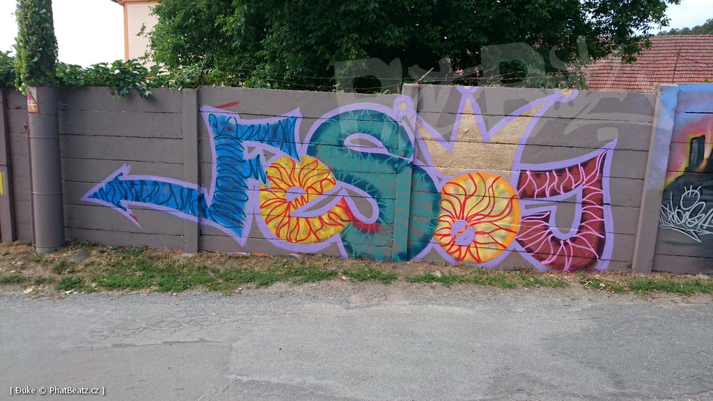 180728_VelkeOpatovice_09