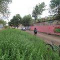 180811_Trutnov_28