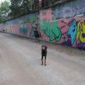 180811_Trutnov_29