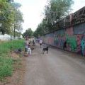 180811_Trutnov_31