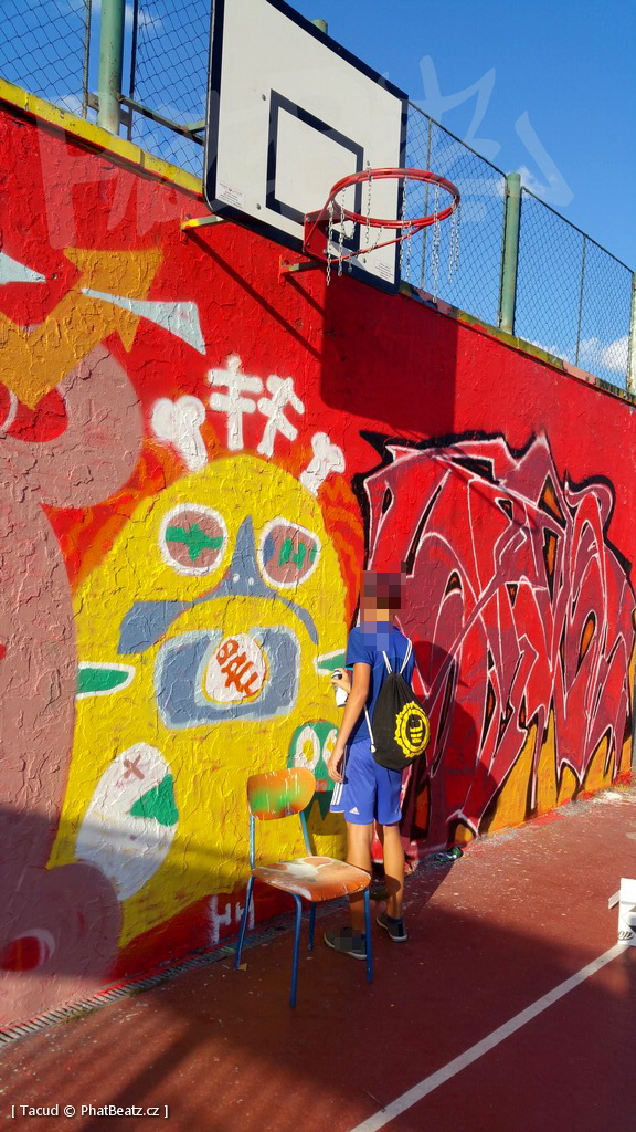 180908_StopZevlingGraff_07