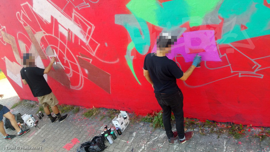 180908_StopZevlingGraff_10