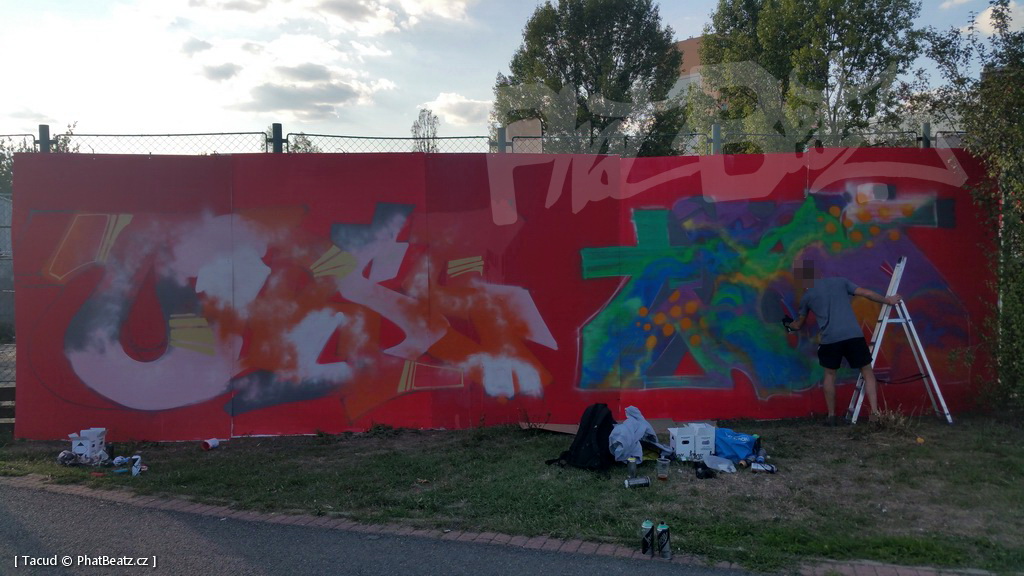180908_StopZevlingGraff_11