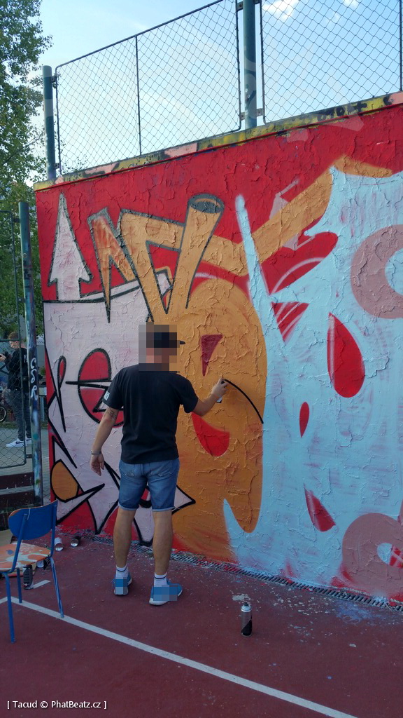 180908_StopZevlingGraff_12