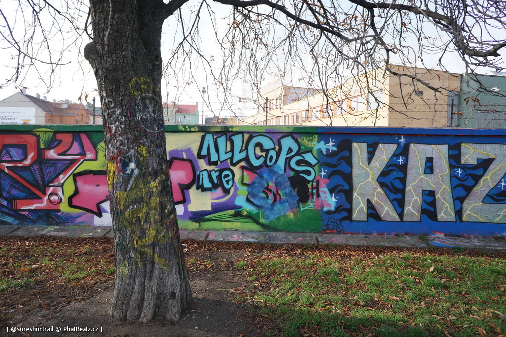 181105_Krenka_11