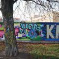 181105_Krenka_11