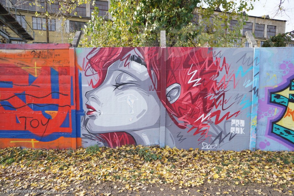 181105_Krenka_43