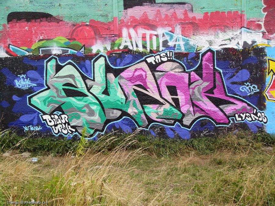 22_080712_Lysa