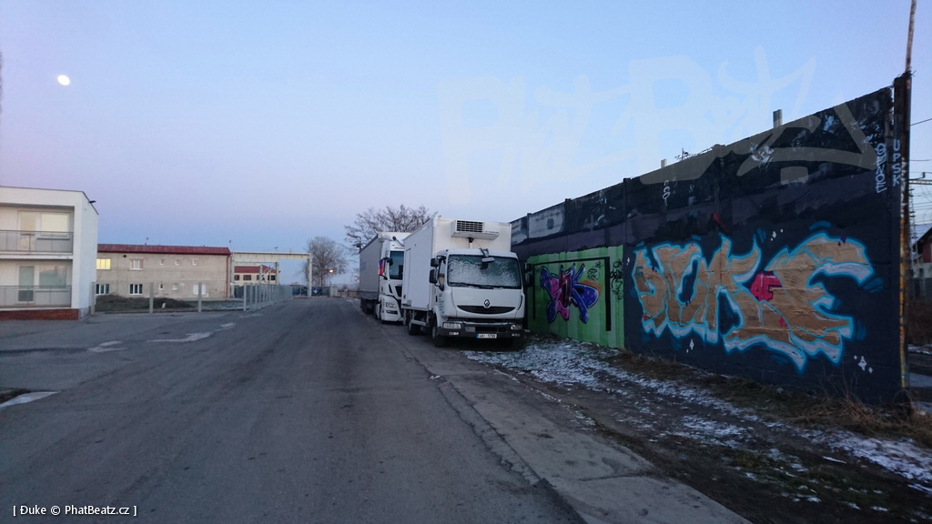 190119_Lysa_01