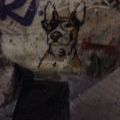 190130_Mallorca_094