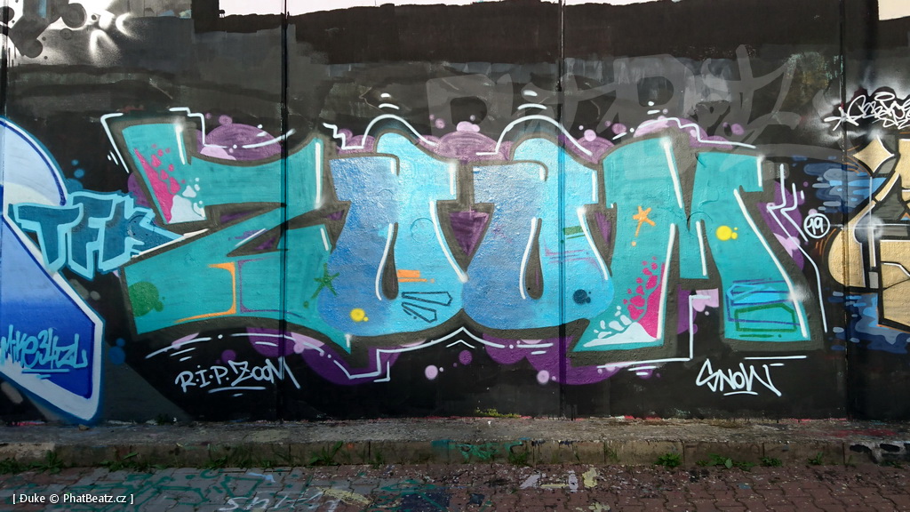 190609_RipZOOM_09