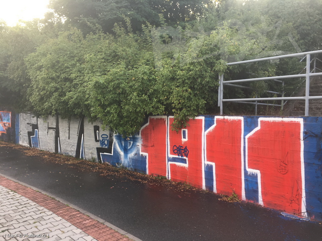 190721_Malesicka_08