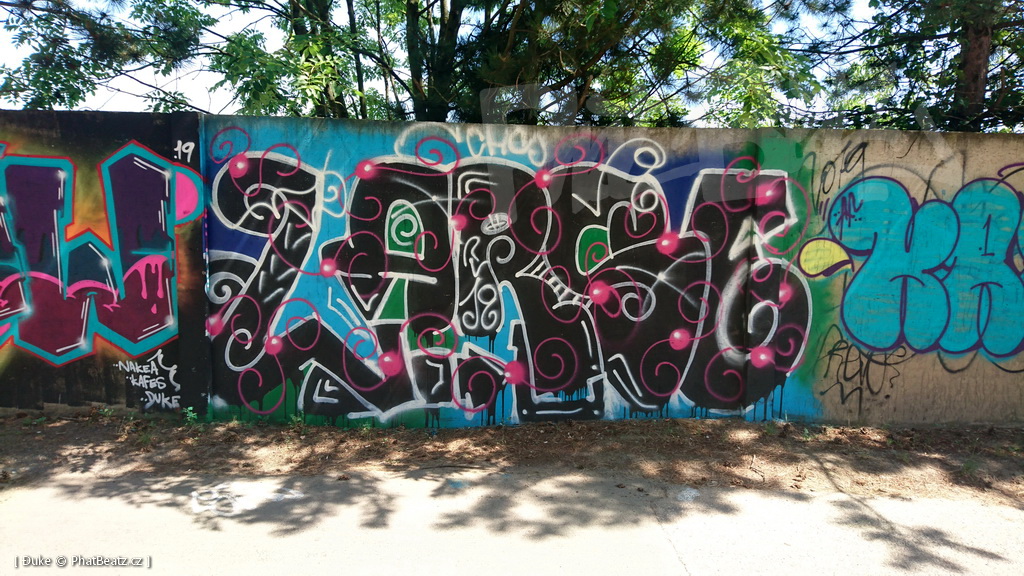190725_Reporyje_18