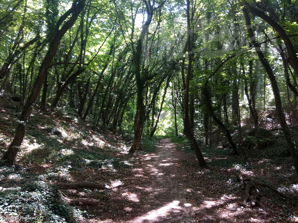 190803_Varna_54