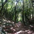 190803_Varna_54