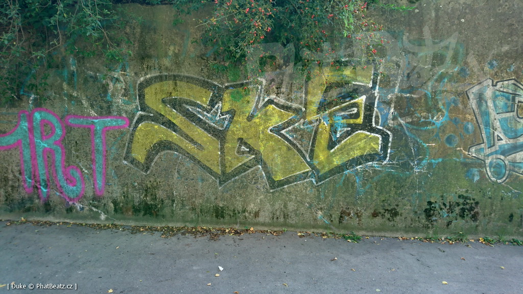 190915_Celakovice_06