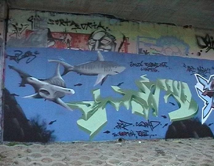 19_kdsjam2002