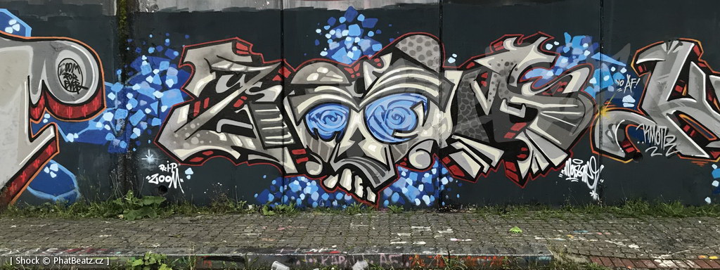 200613_RIP-ZOOM_10
