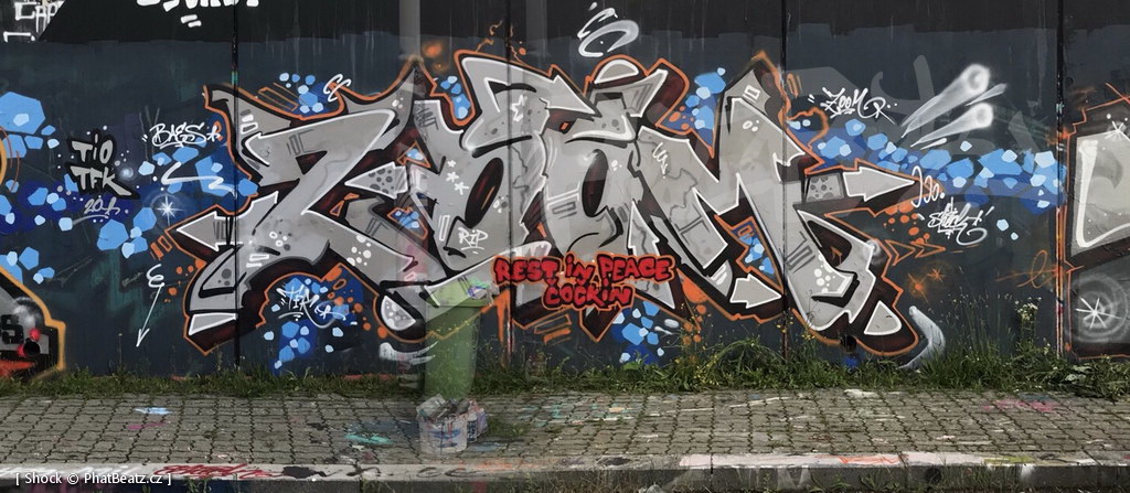 200613_RIP-ZOOM_13