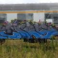 2008_Wroclaw_10