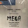 201209_ZeboneSpord_01