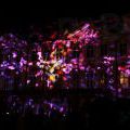 2014Signal_0032