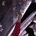 2014Signal_0046