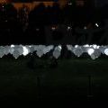 2014Signal_0070
