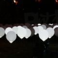 2014Signal_0071