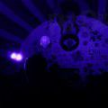 2014Signal_0073