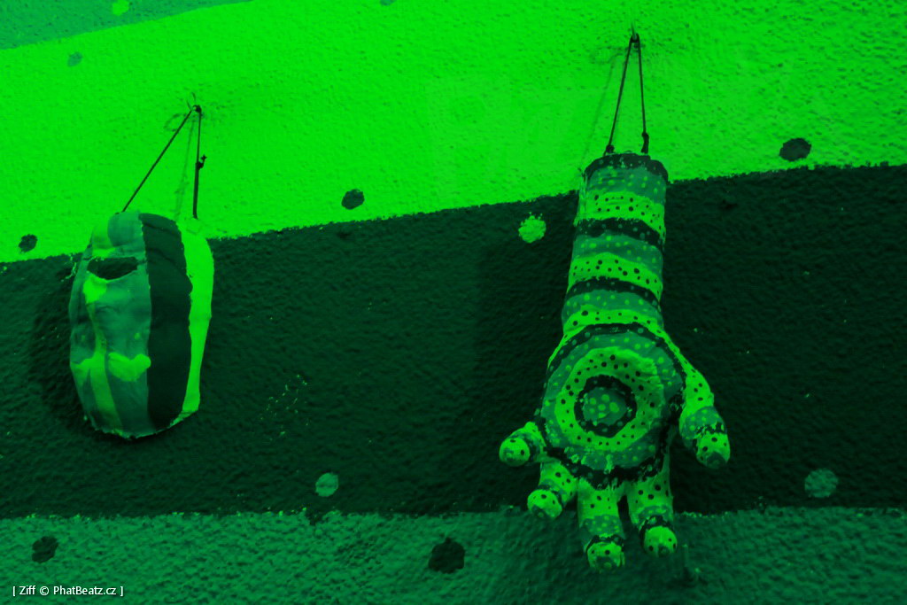 2014Signal_0074