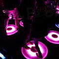 2014Signal_0079