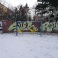 210113_Prosek_51