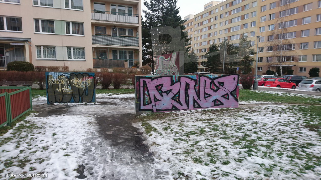 210119_Praha11_06
