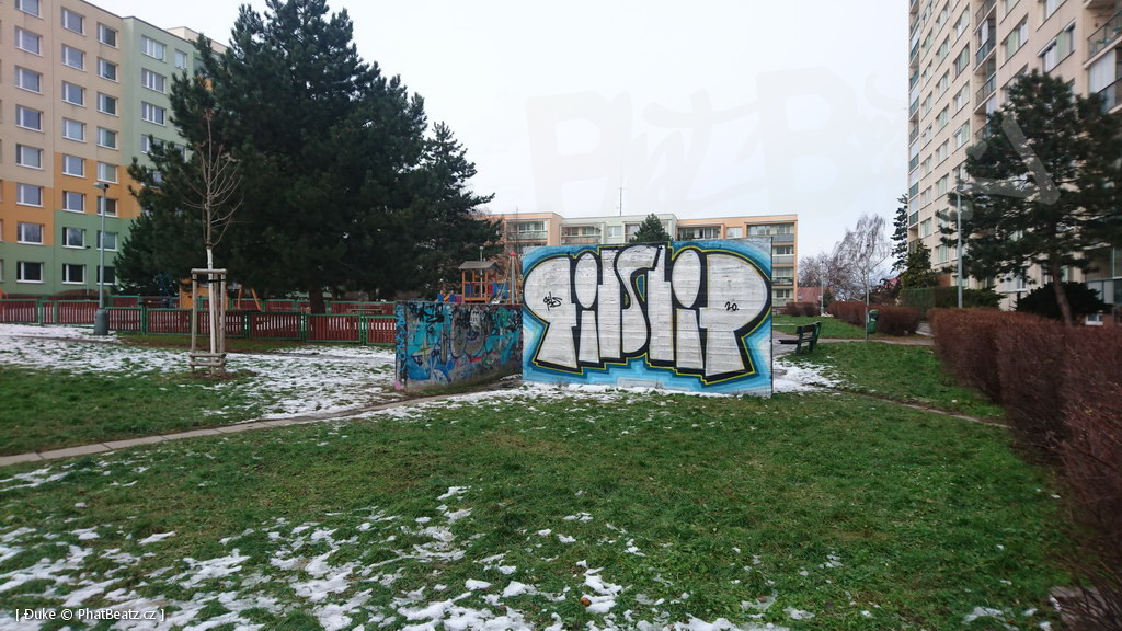 210119_Praha11_09