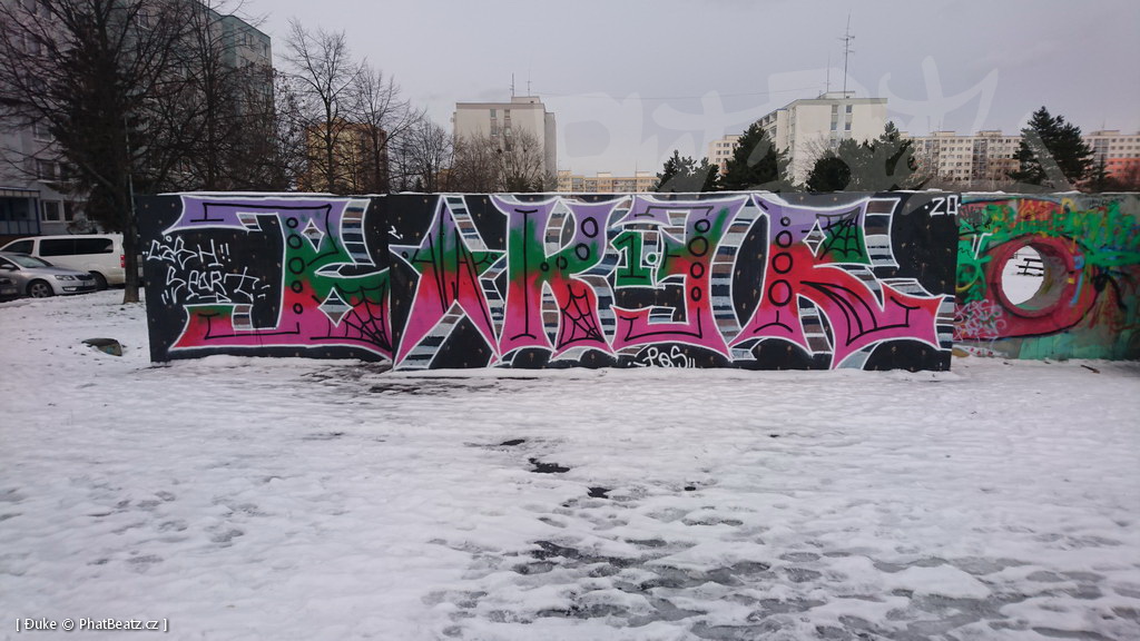 210119_Praha11_13