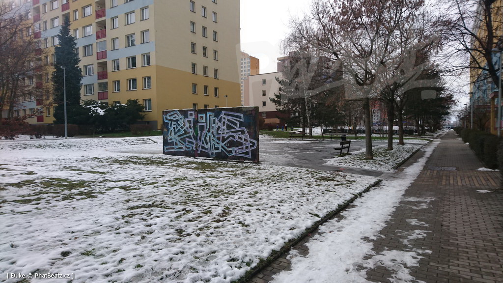 210119_Praha11_18