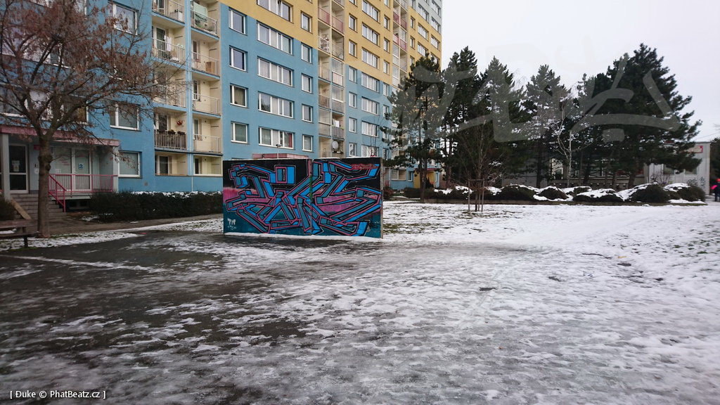 210119_Praha11_21