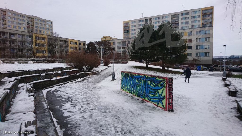 210119_Praha11_36