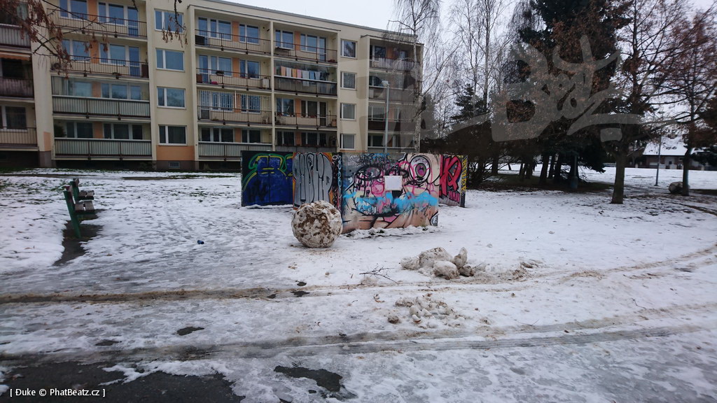 210119_Praha11_37