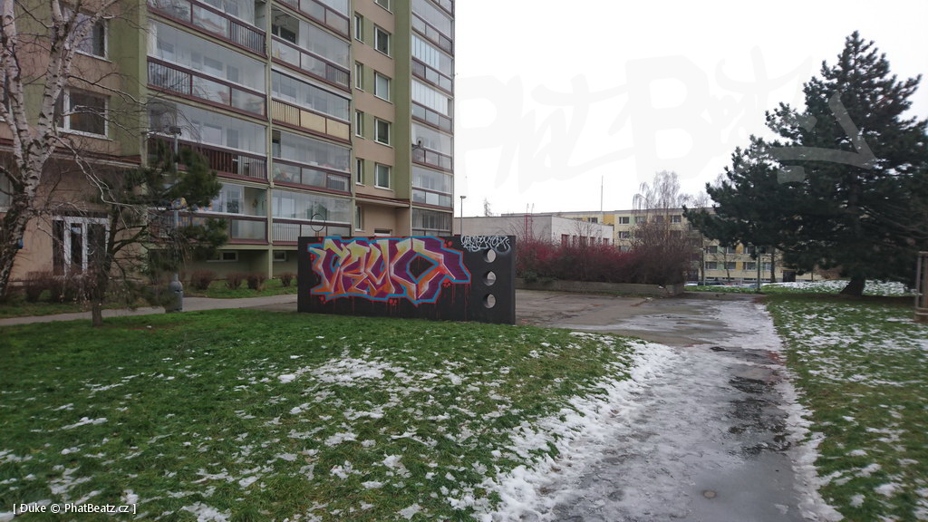 210119_Praha11_49