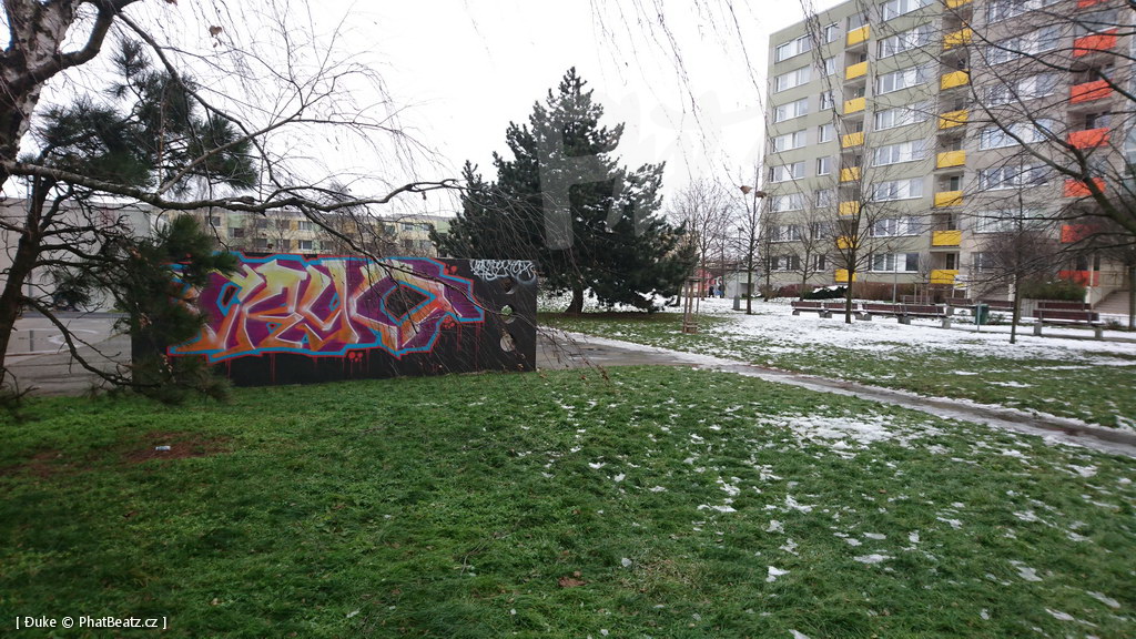 210119_Praha11_50