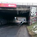 210119_Sulicka_01