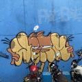 210208_Medellin_29