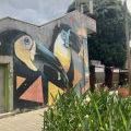210208_Medellin_43