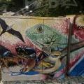 210213_SanAndres_09